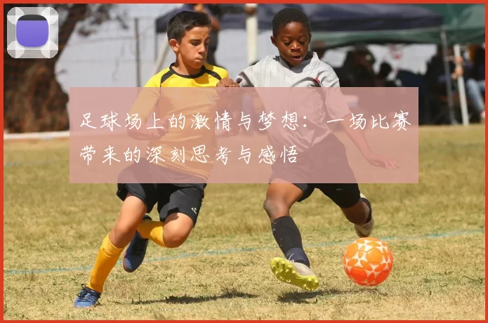 足球场上的激情与梦想：一场比赛带来的深刻思考与感悟
