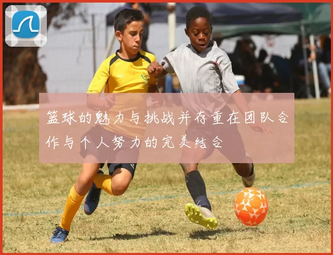 篮球的魅力与挑战并存重在团队合作与个人努力的完美结合