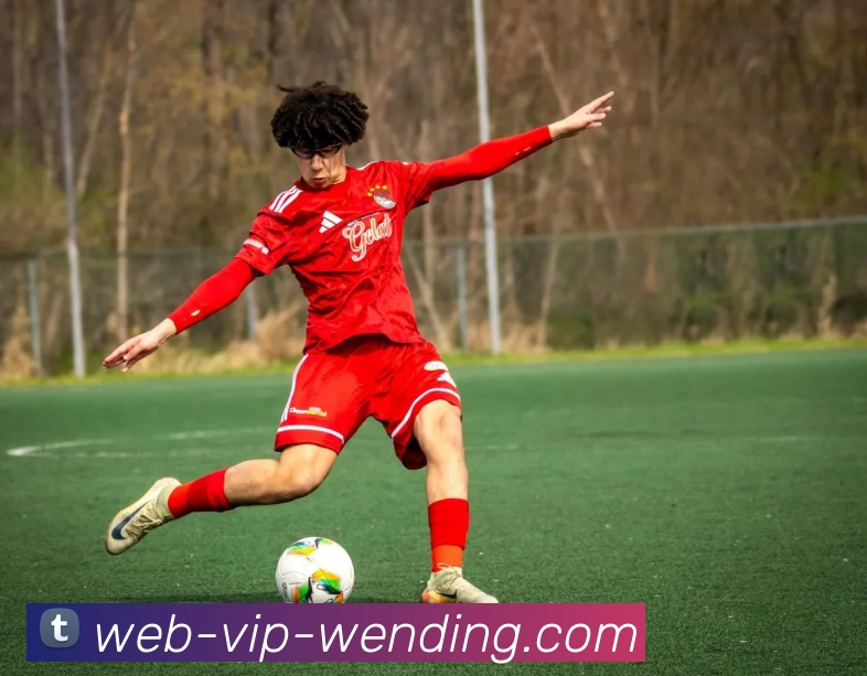 App Interface Preview