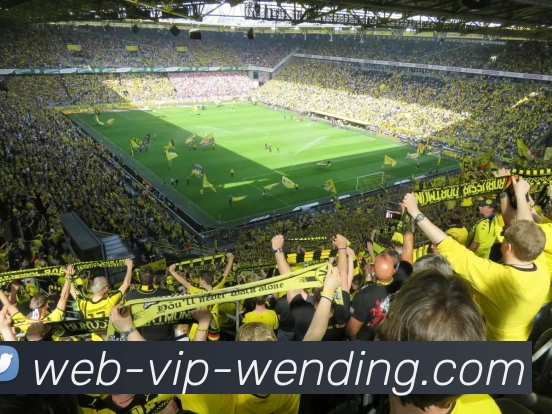 问鼎娱乐APP 封面图